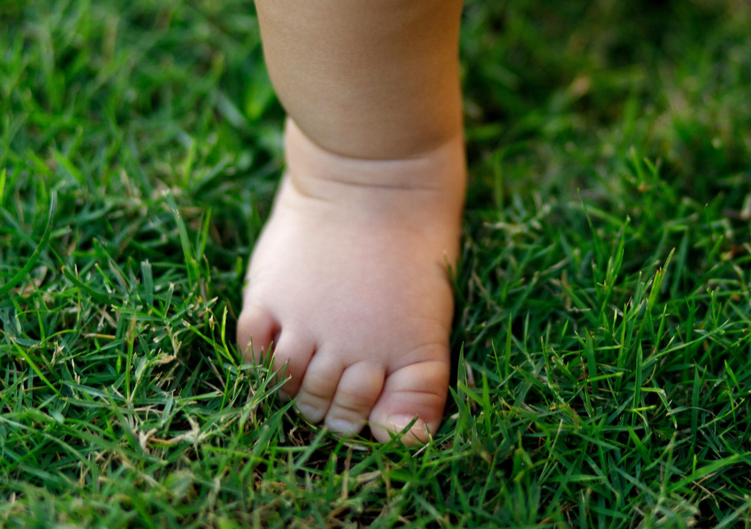 bebe maria dinis Alergias, Sensibilidade Química Múltipla, Síndrome do Edifício Doente, Doenças Autoimunes/Crónicas, Estratose Hepática, Hipersensibilidades a odores/perfumes, Prolapsos, Queda cabelo, Síndrome Pós COVID, Depressão, Sinusite, Confusão mental/Brain fog, SIBO, Diabetes, Fotossensibilidade, Fibromialgia, Lúpus, Perturbações gastrointestinais, Autismo, Diabetes, Dores dispersas, Dores em queimação, Inflamação mucosas, Psonisse, Micoses, Micenas, Nutrição Celular, Bio ressonância, Rife, Medicina Tradicional Chinesa, voltagem celular.