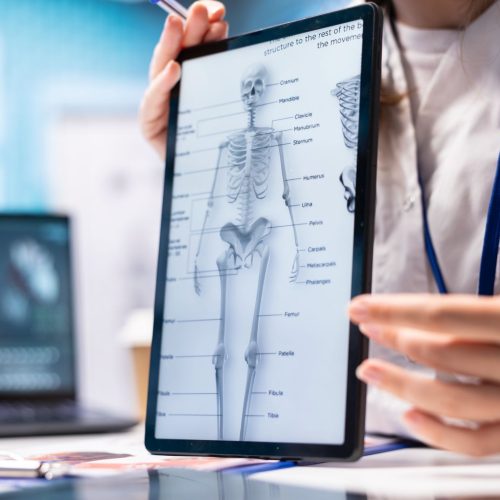 Sistemas Analisados-saude-holistica-doenças-cronicas-hipersensibilidades-terapias-alternativas